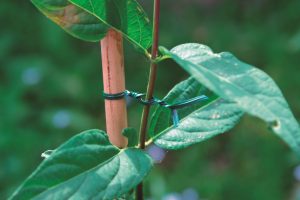 alambre atadura jardin verde con alma rollo 25 metros catral garden