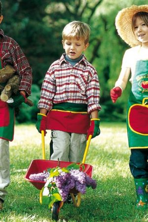 Carretillo jardín DIJ02 infantil 10 L 50 kg Altuna metálico|Carretillo Altuna DIJ02 detalle rueda