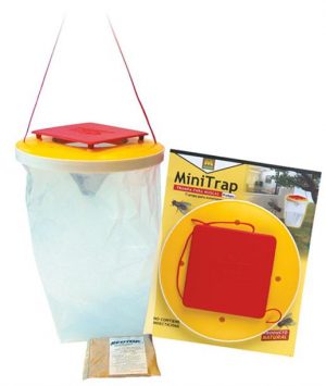 insecticida preben minitrap exterior 231081 trampa cazamoscas