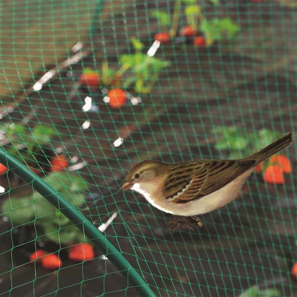 malla antipajaros birdnet 2x5 m verde nortene proteccion frutales pequenos|malla birdnet detalle trama y color verde|malla birdnet 2x5 metros embalaje y etiqueta